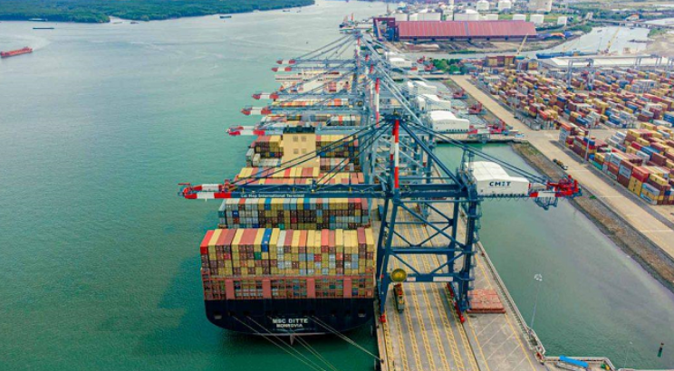 MSC大型集装箱船越南停靠,越南专线公司分享越南海运资讯