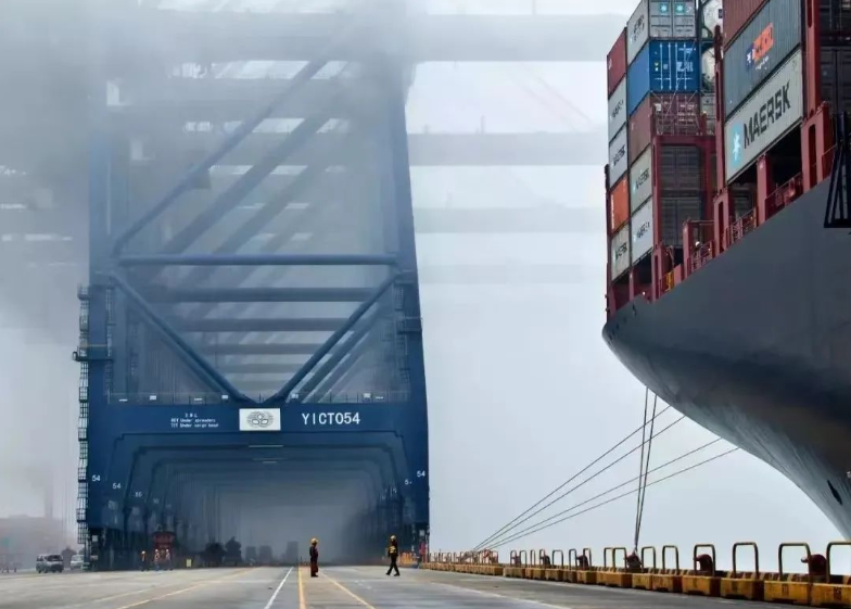 新西兰海运集装箱更新检疫及申报要求,国际海运货代